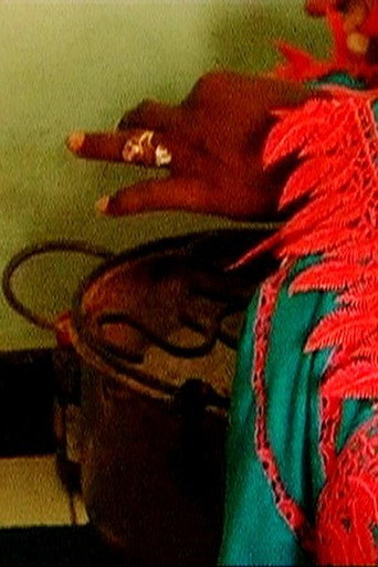 Movie poster for Les Sénégalaises et la Sénégauloise (2007)