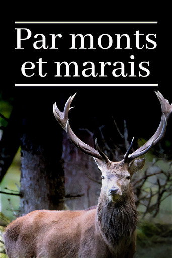 Movie poster for Sanfte Berge - Wilde Moore (2022)
