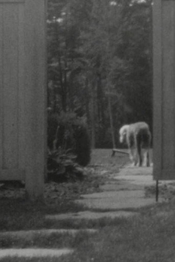 Stepping Stones poster