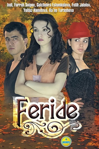 Movie poster for Feride (2008)