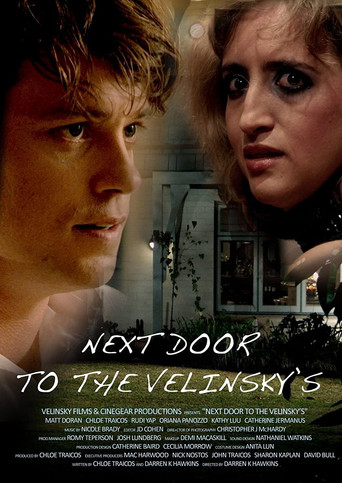 Movie poster for Next Door to the Velinsky's (2011)