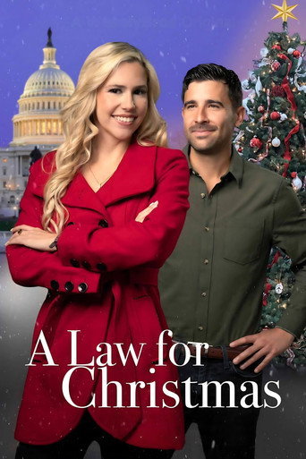 Movie poster for A Law for Christmas (2023)