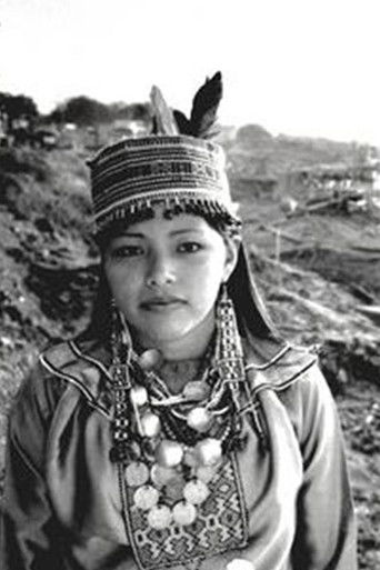 The Story of Panshin Beka poster