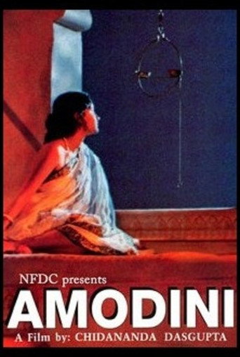 Movie poster for Amodini (1994)