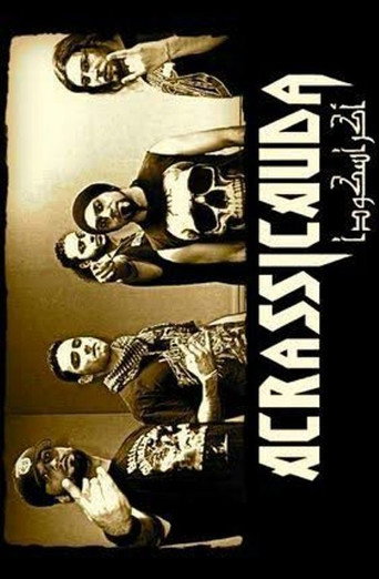 Movie poster for Heavy Metal in Istanbul (2008)