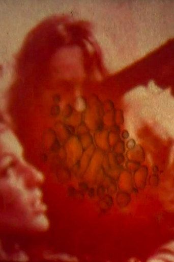 Movie poster for The Pistol (2010)
