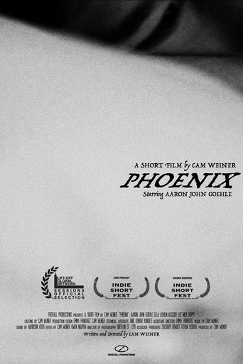 Movie poster for Phoenix