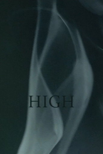 Movie poster for High (2009)