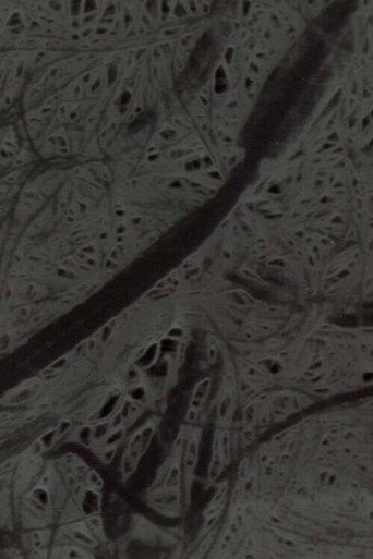 Movie poster for Ecosystem 6 ~ A Sort of Mycelium (1989)