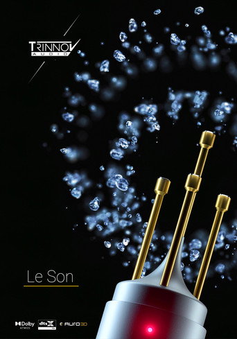Movie poster for Le Son (2025)