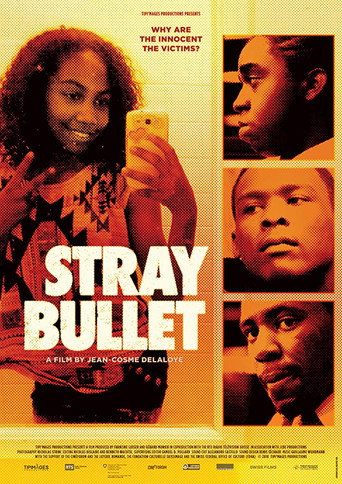 Movie poster for Stray Bullet (2018)
