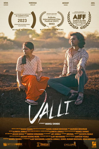 Movie poster for Valli (2023)