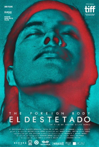 Movie poster for The Foreign Body (2018)