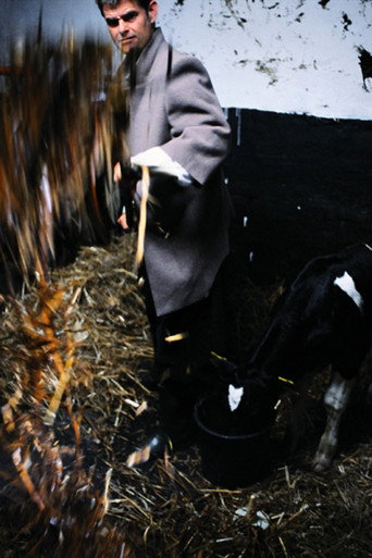 Movie poster for Milk Fever (2004)