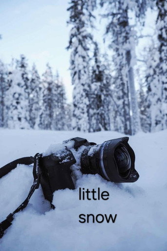 Movie poster for little snow (2026)