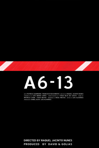 Movie poster for A6-13 (2005)