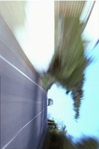 Movie poster for Civil Disobedience (2004)