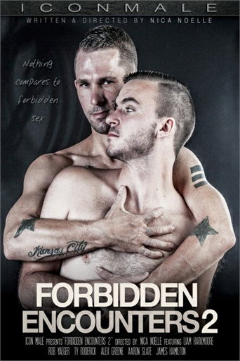 Movie poster for Forbidden Encounters 2 (2014)