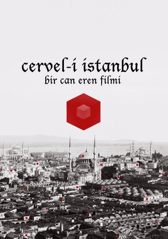 Movie poster for Cervel-i İstanbul (2013)