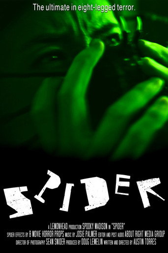 Movie poster for Spider (2024)