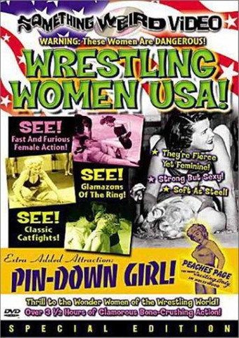 Movie poster for Wrestling Women USA! (2001)