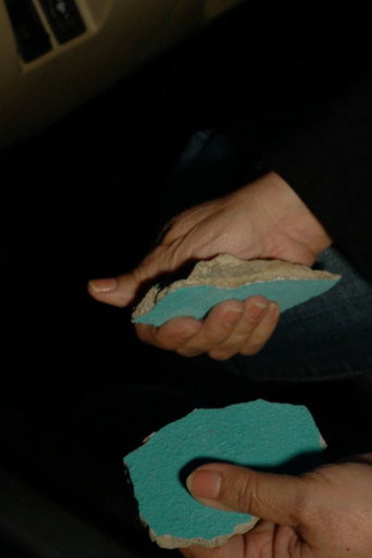 Movie poster for Holding Water