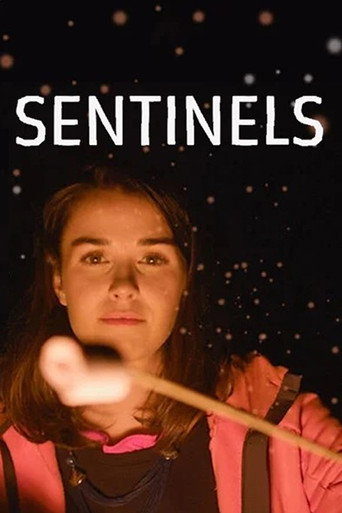 Movie poster for Sentinels