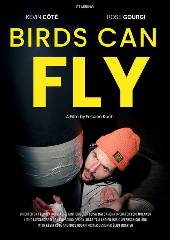 Movie poster for Birds can fly