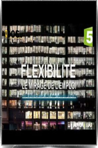 Movie poster for Flexibilité, le mirage de l'emploi (2017)