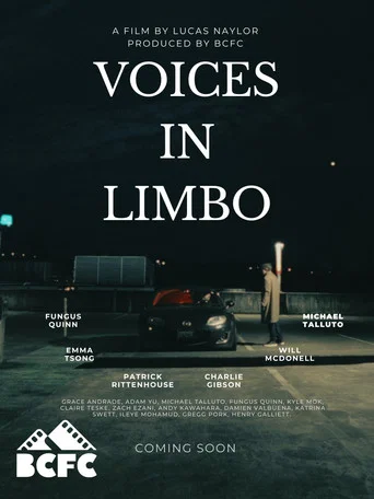 Movie poster for Voices In Limbo
