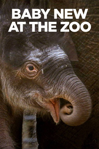 Movie poster for Baby New at the Zoo (2007)