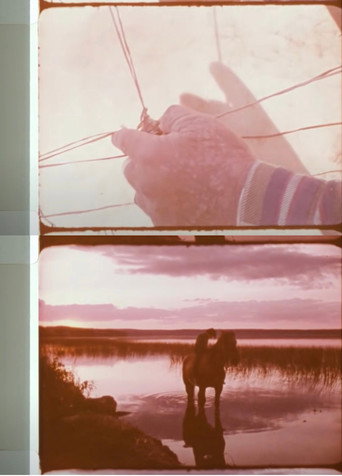 Movie poster for This Place – Chipewyan Lake (1968)