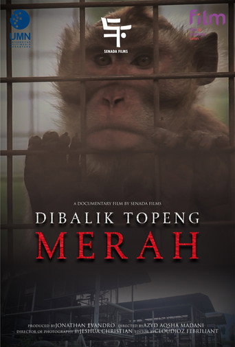 Movie poster for Di Balik Topeng Merah