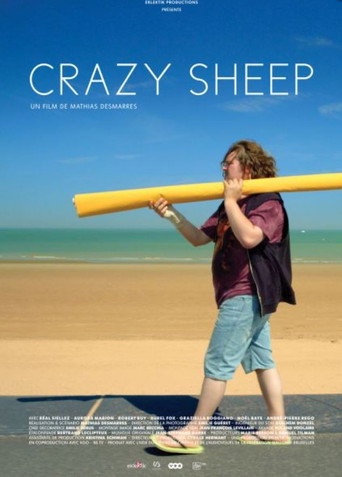 Movie poster for Crazy Sheep (2016)