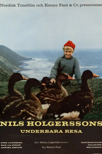 Movie poster for Wonderful Adventures of Nils (1962)