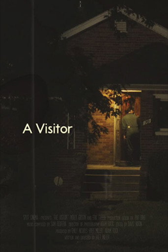 Movie poster for A Visitor (2020)
