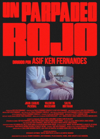 Movie poster for Red Light Spells Danger (2024)