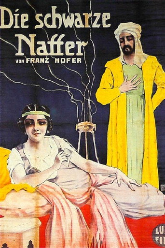 Movie poster for Die schwarze Natter (1913)