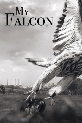 My Falcon poster