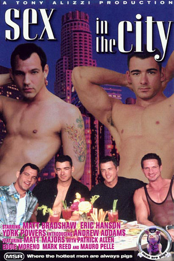 Movie poster for Sex in the City (2001)