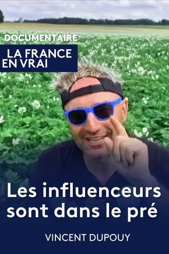 Movie poster for Les influenceurs sont dans le pré (2024)