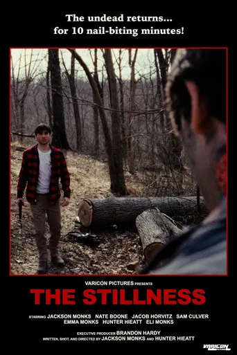 The Stillness poster