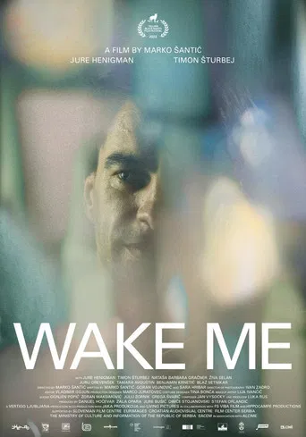 Wake Me poster