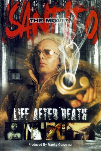 Movie poster for Santito: La vida que nace de muerte (2006)
