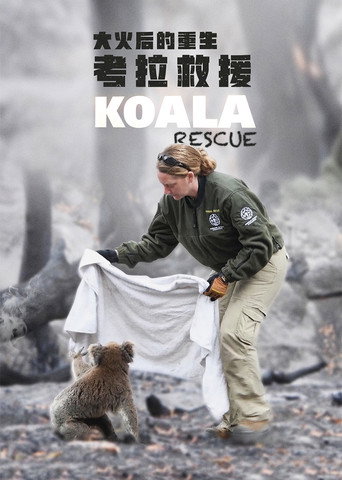 Movie poster for Koala Rescue (2020)