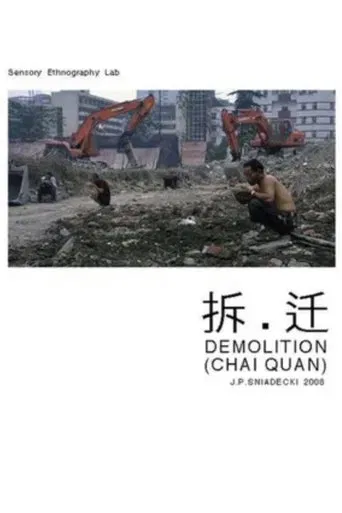 Demolition poster