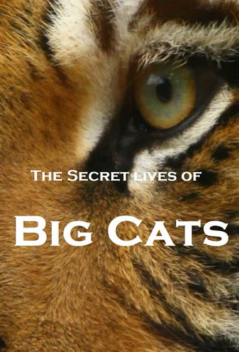 Series poster for The Secret Lives Of Big Cats (2020)