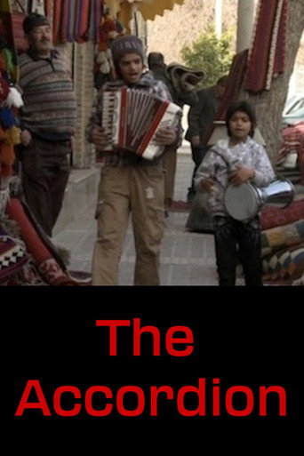 Movie poster for The Accordion (2010)