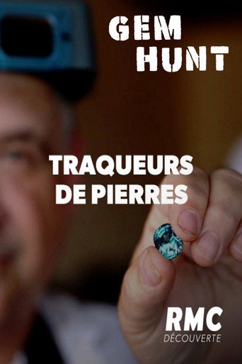 Series poster for Gem Hunt (2013)