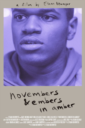 Movie poster for Novembers & Embers in Amber